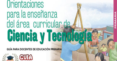 Orientaciones para la enseñanza del área curricular de Ciencia y Tecnología