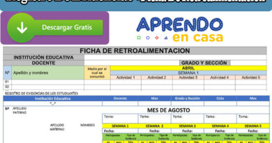 Registro De Evidencias + Ficha De Retroalimentación - Agosto