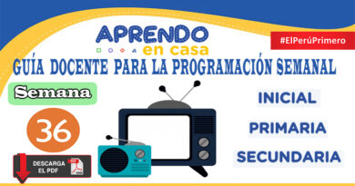 SEMANA 36 | Guía docente para la programación Radio y TV Aprendo en Casa del 07 al 11 de diciembre
