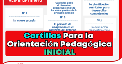 Cartillas-Para-la-Orientacion-Pedagogica-Inicial