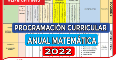Modelo de Programación Anual Matemática 2022