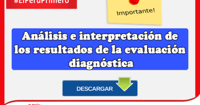 Análisis e interpretación de los resultados de la evaluación diagnóstica