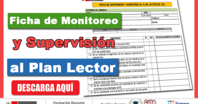 Ficha de Supervisión y Monitoreo al Plan Lector en las Instituciones Educativas