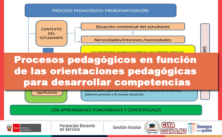 Procesos pedagógicos en función de las orientaciones pedagógicas para desarrollar competencias