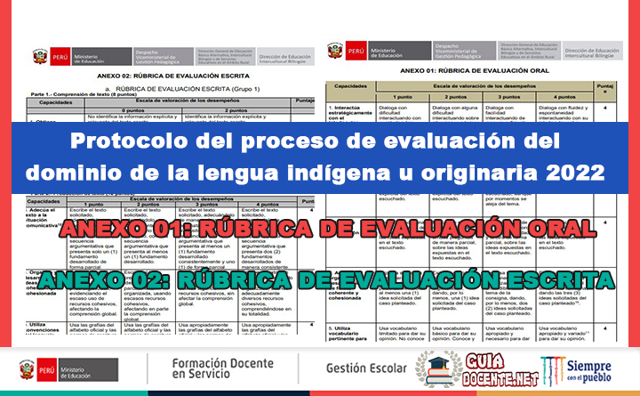 Protocolo del proceso de evaluación del dominio de la lengua indígena u originaria 2022