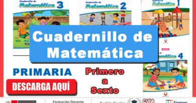 Cuadernos de Matemática - Primer a Sexto Grado de Primaria
