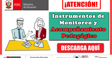Instrumentos de Monitoreo y Acompañamiento Pedagógico