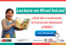 Lectura en Nivel Inicial: ¿Qué dice realmente el Currículo Nacional (CNEB)?
